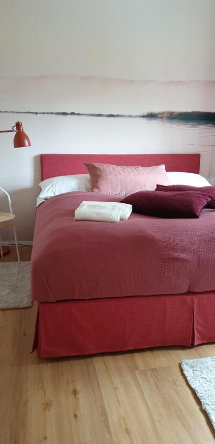 Red Flat By Grazrentals Direct By University & Free Parking Luaran gambar